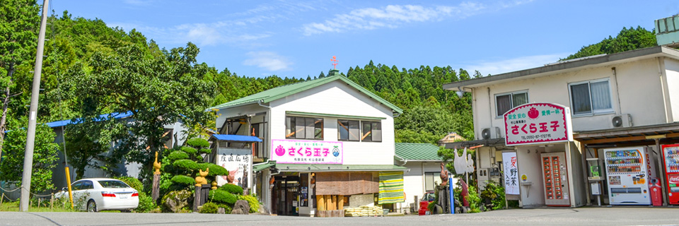 さくら玉子の杉山養鶏場